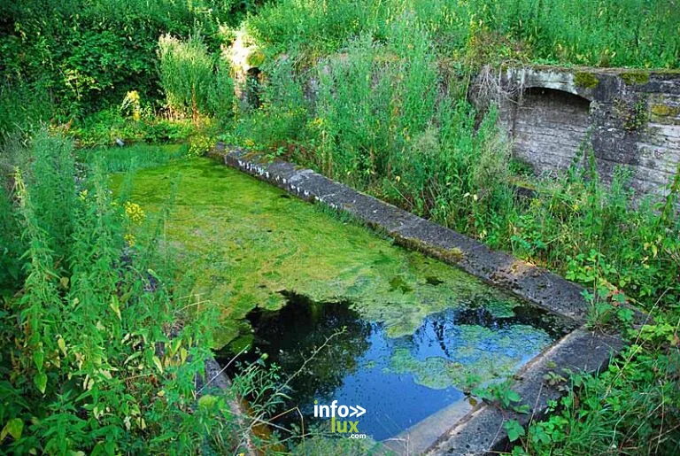 Lavoir de l'Arcombelle de Montigny-le-Roi