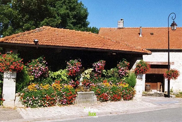 Lavoir de Noidant-le-Rocheux