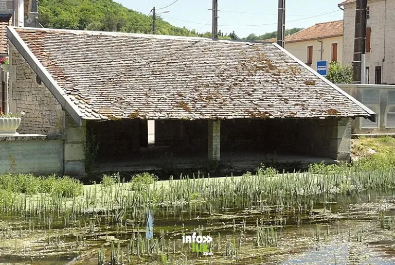 Lavoir de Saucourt-sur-Rognon