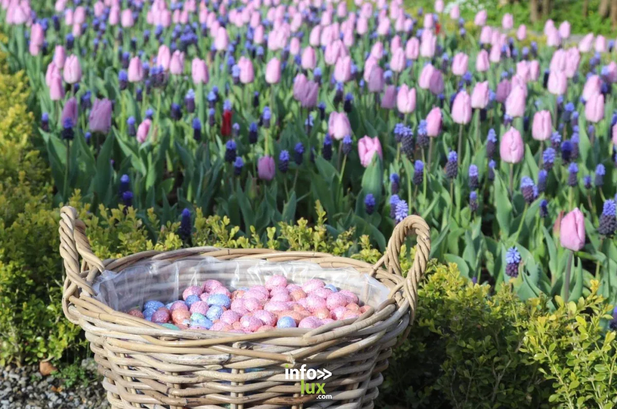 Affiche officielle Le chocolat aux Jardins d'Annevoie 2026