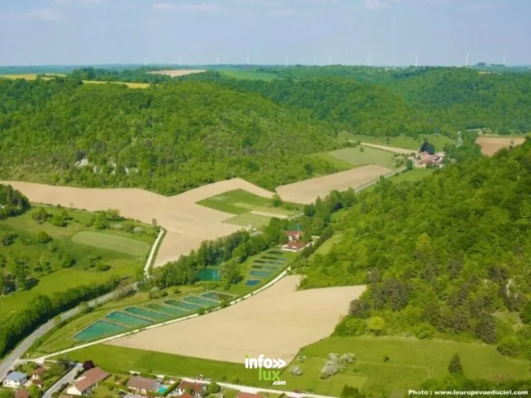 LE MOULIN AUX ECREVISSES A PATTES ROUGES à Thonnance-lès-Joinville