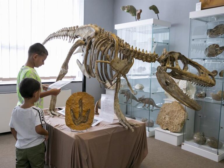 Le Musée Géolor à Thionville : histoire, à voir et infos pratiques