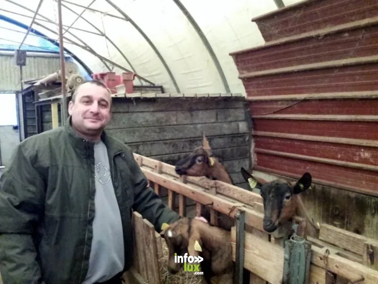 Le p'tit chèvre d'Arrelles à Arrelles