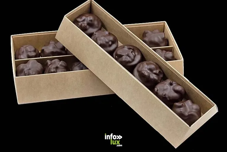 « Le Rocher Lingon »