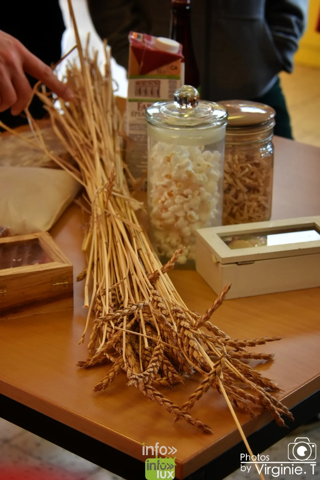 Atelier céréales à l'École du Doyard, Bastogne 2020 — photo 14
