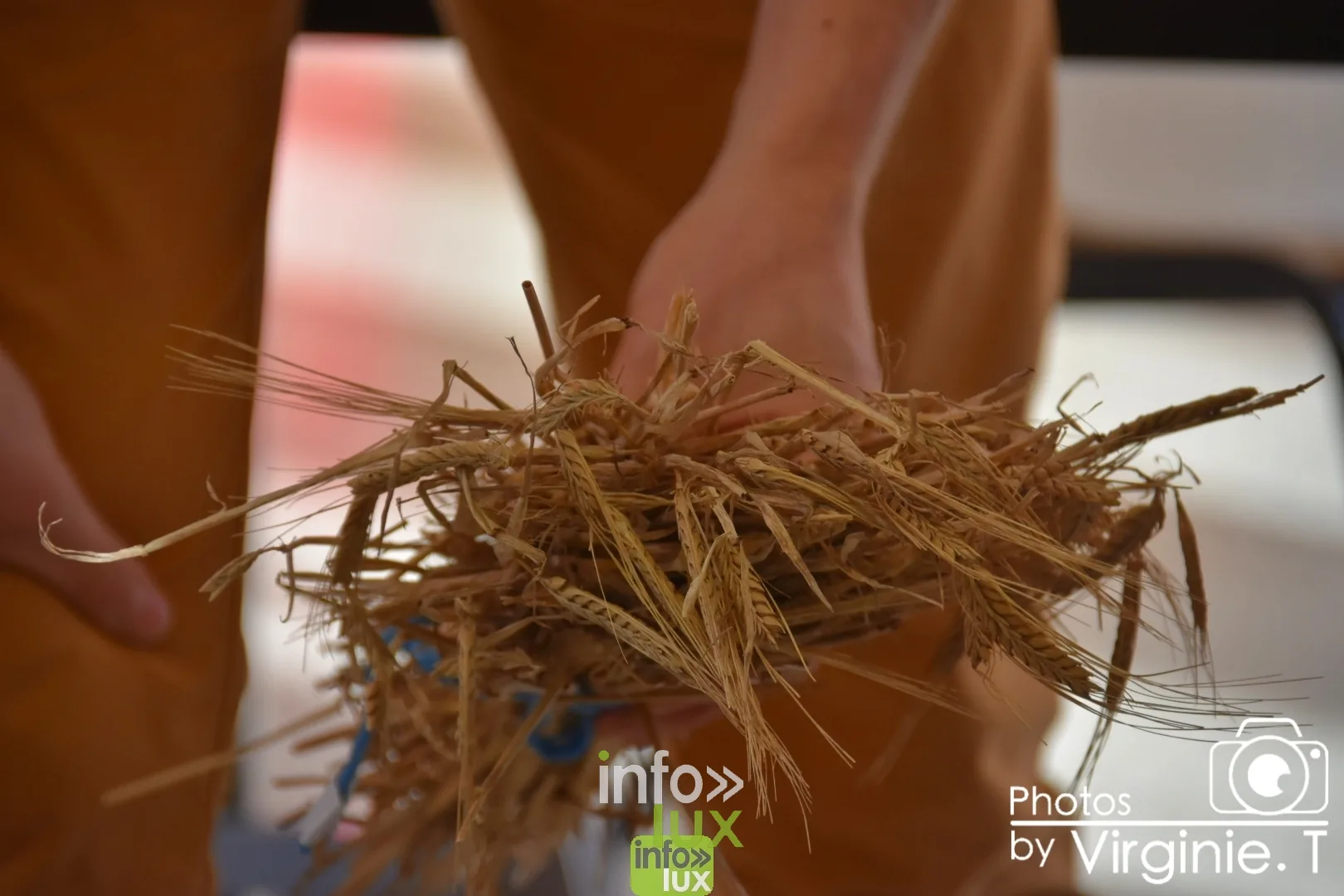 Atelier céréales à l'École du Doyard, Bastogne 2020 — photo 19