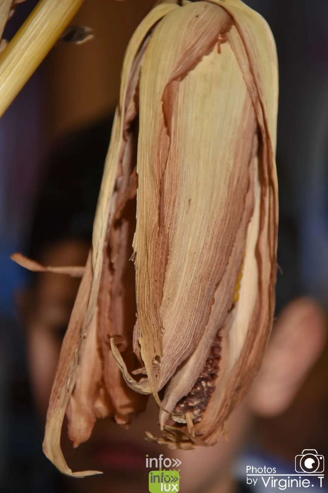 Atelier céréales à l'École du Doyard, Bastogne 2020 — photo 22