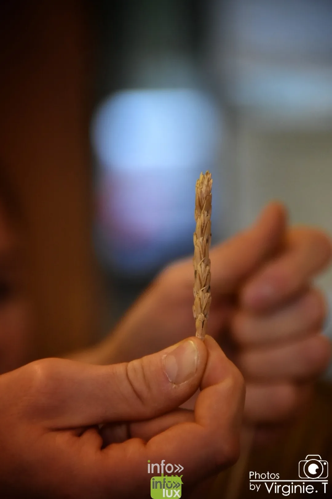 Atelier céréales à l'École du Doyard, Bastogne 2020 — photo 28
