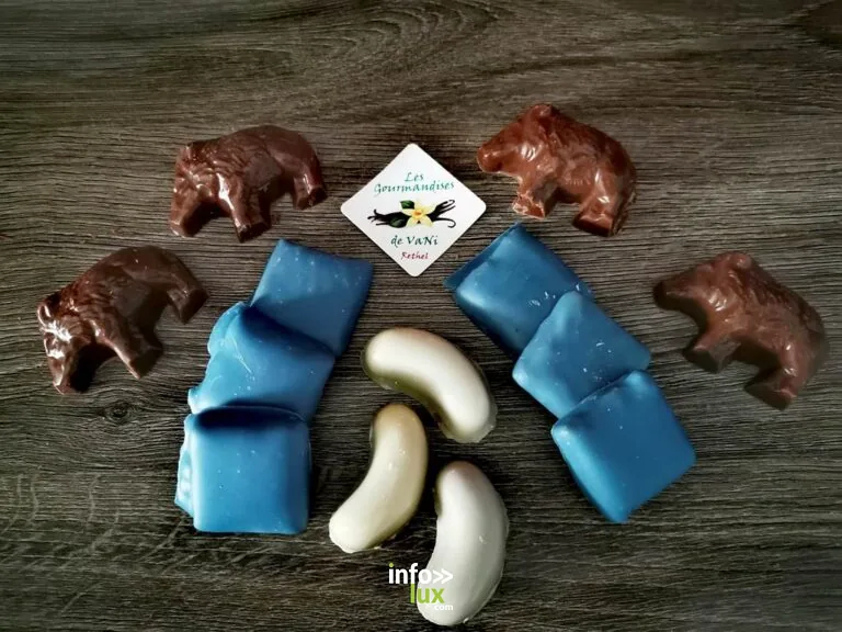 Les Gourmandises de Vani à Rethel
