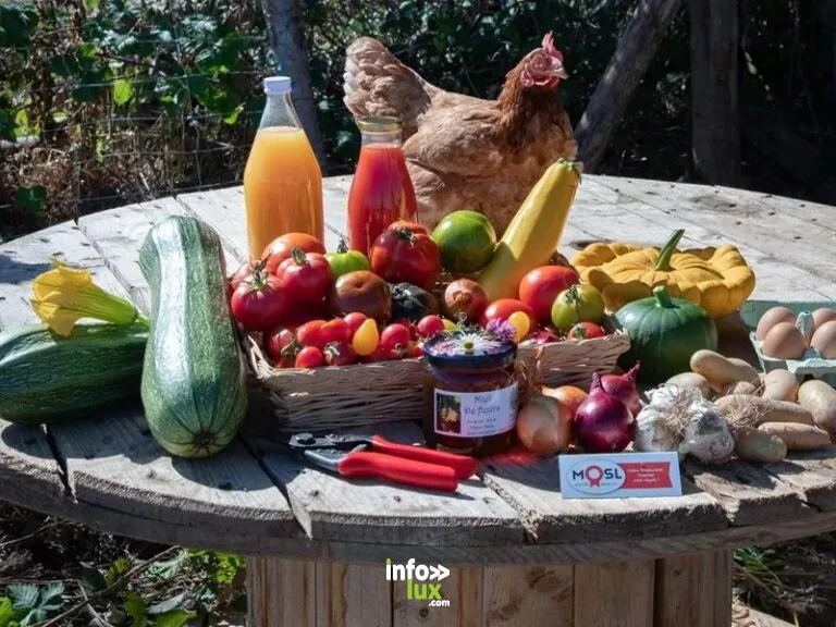 Les jardins de Popote