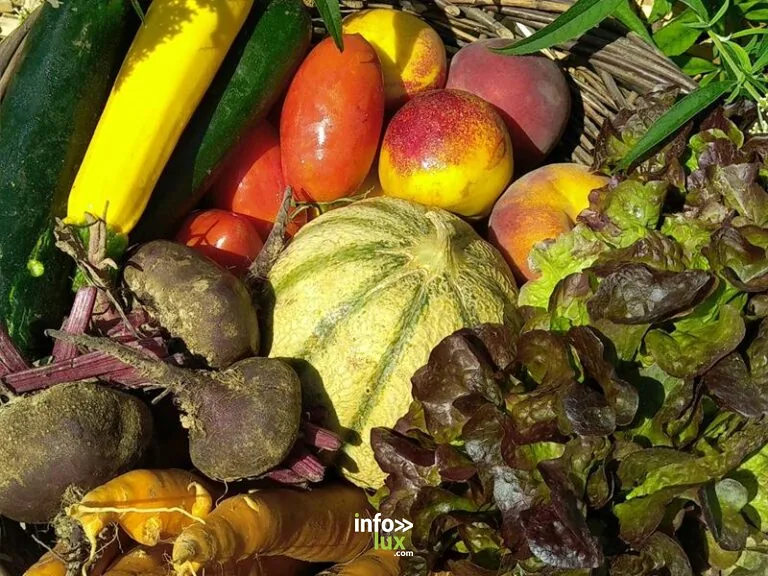Les Légumes de Sylvie à Munwiller