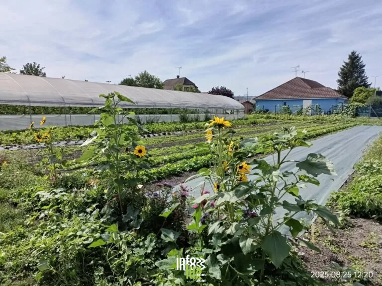 Les Maraîchers des Viennes
