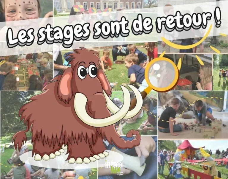 Hélécine > Famille > Les stages du MiaBW 2026