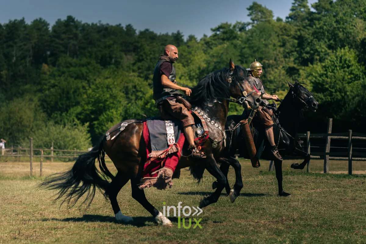 Cavalier au galop lors du spectacle équestre de Malagne
