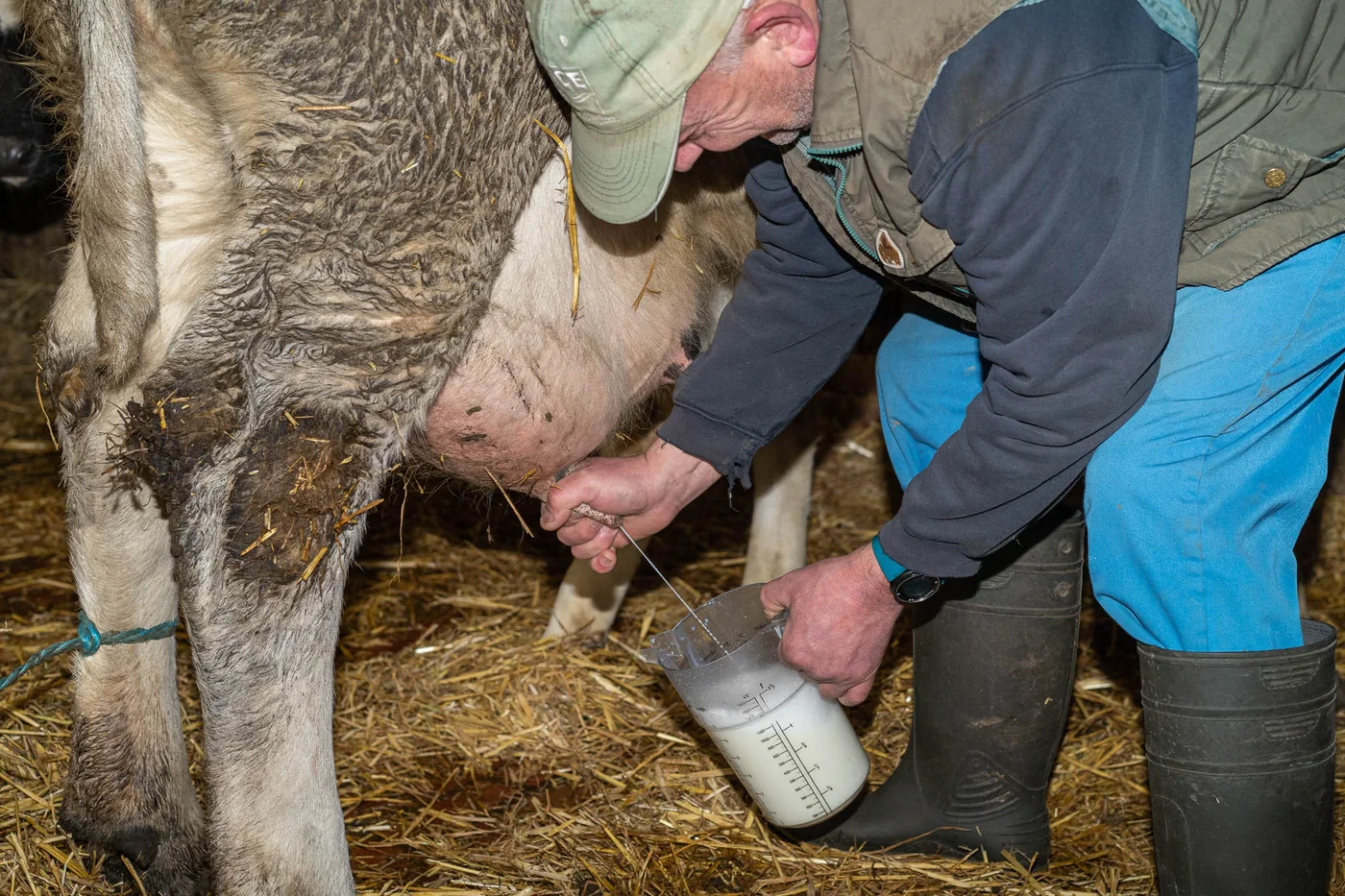 Vie à la ferme