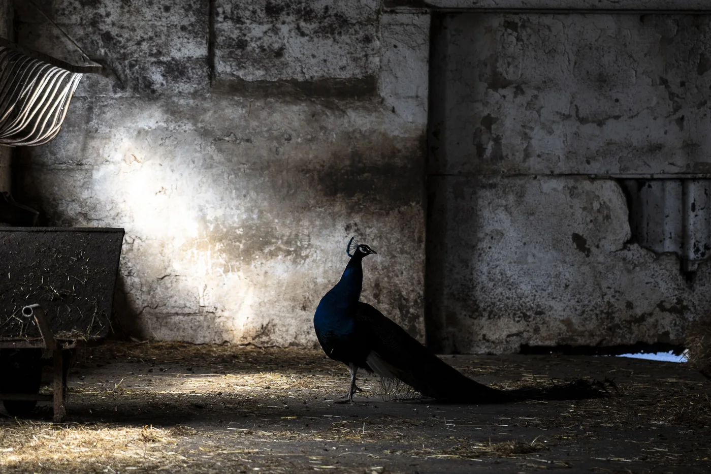 Vie à la ferme