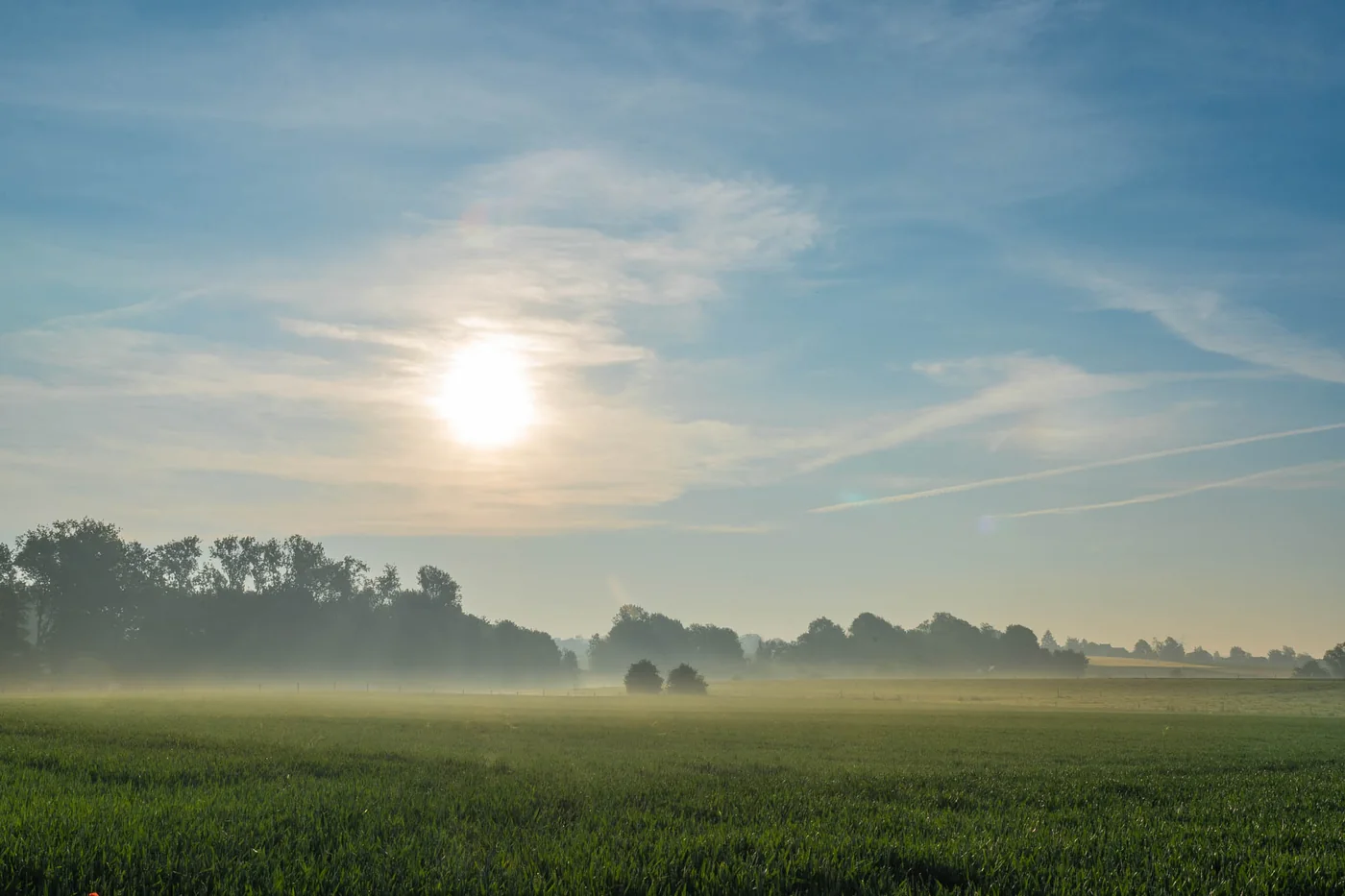 Paysage de Blanmont, Brabant wallon, par Marie-Anne Pauwels