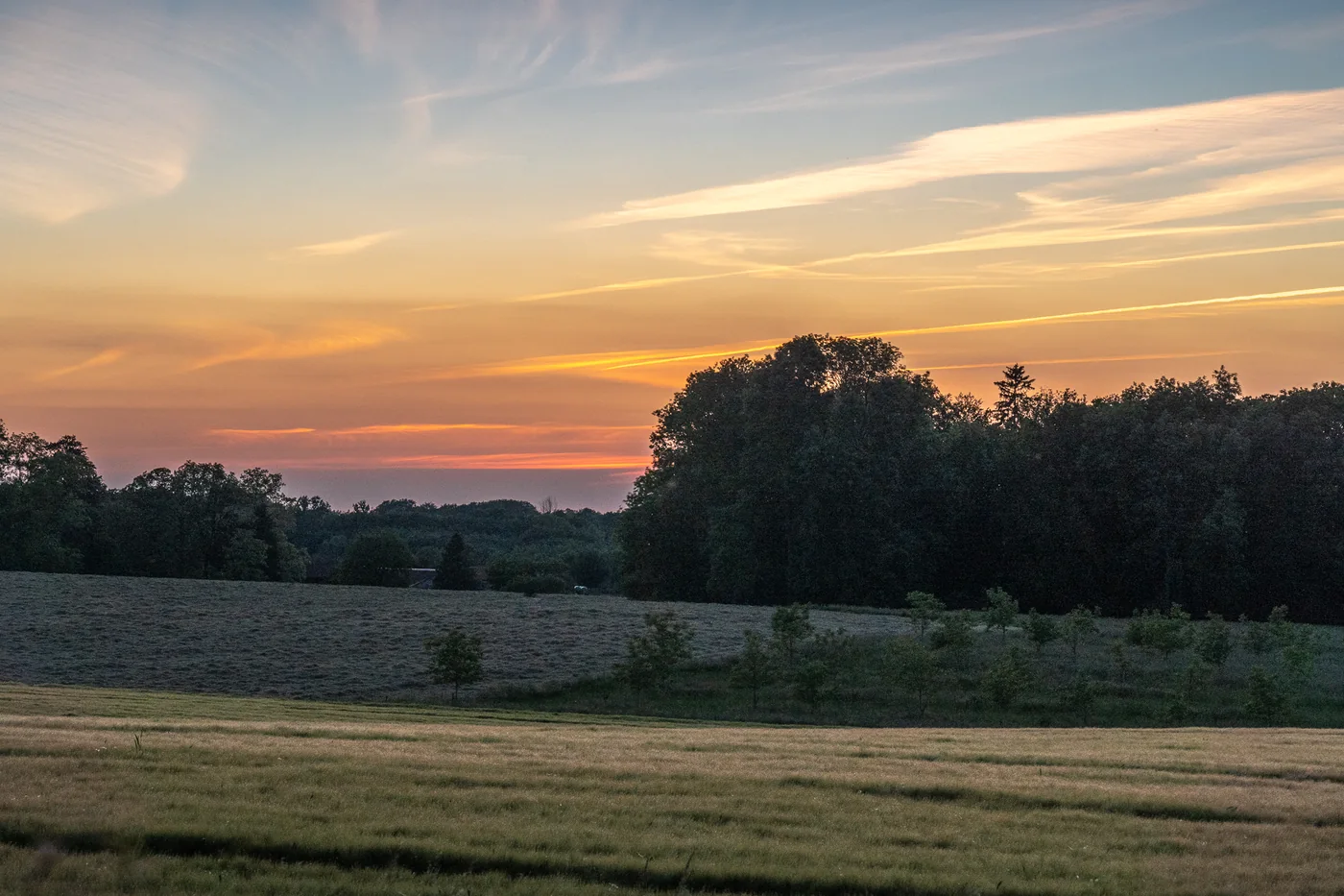 Paysage de Vieusart