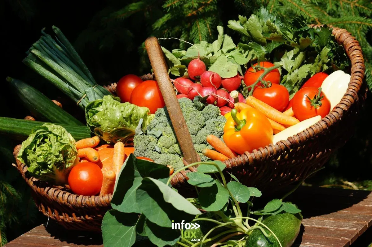 Affiche officielle Marché des petits producteurs 2026