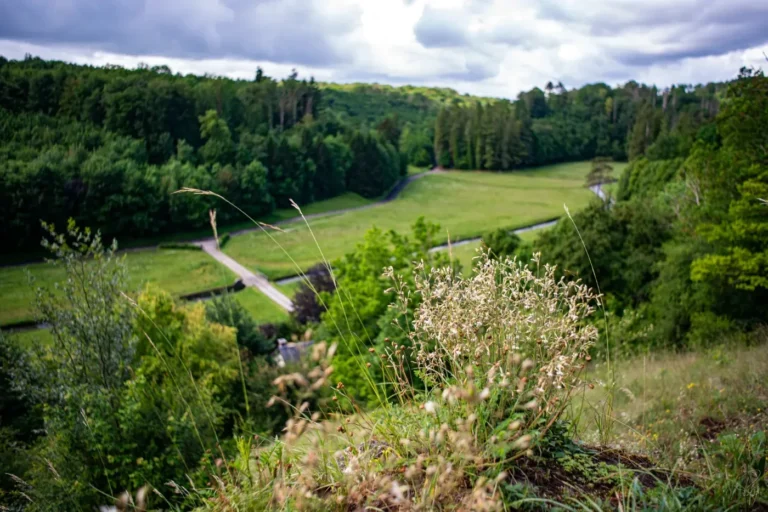 Modave > Balade > Marche du temps profond