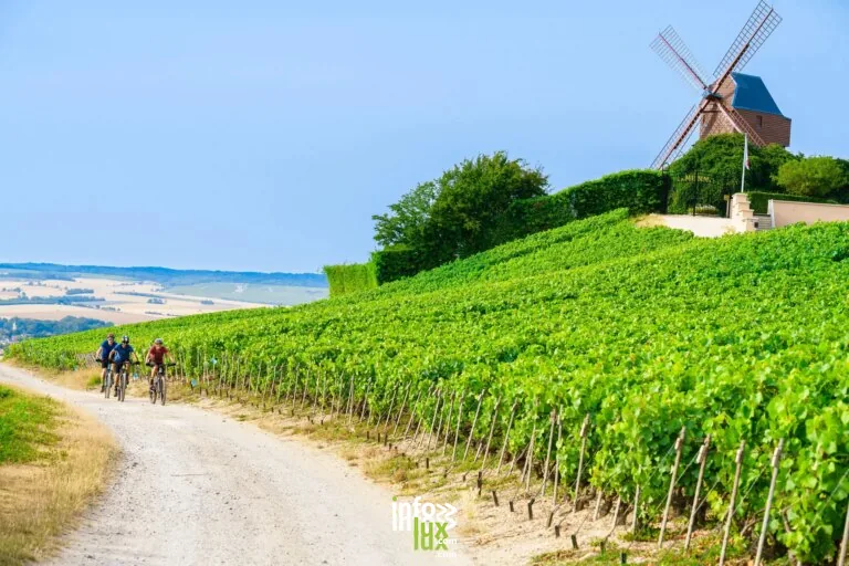 Moulin de Verzenay