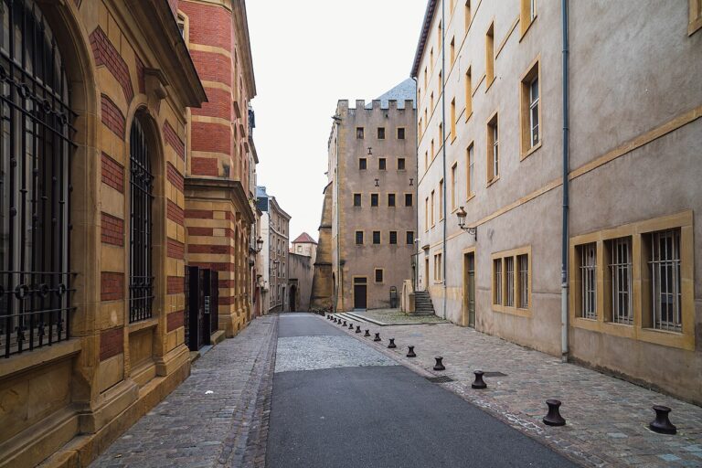 Musée de La Cour d’Or