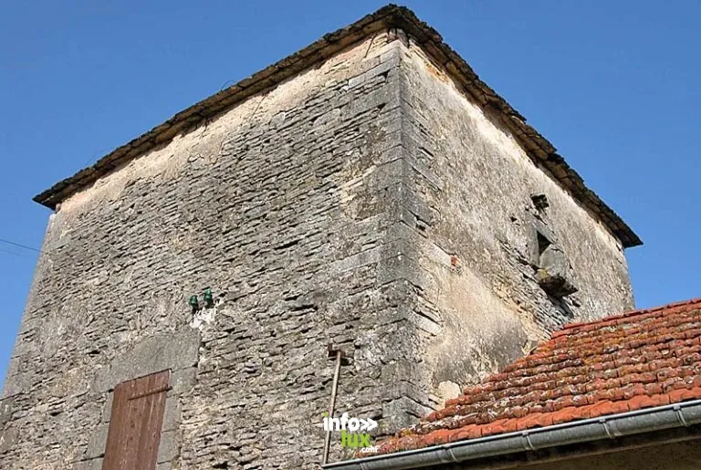 Pigeonnier de ferme de Dommarien