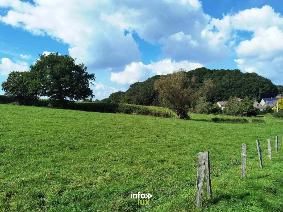 Affiche officielle Promenade guidée 2026 : le tour des terrils à Soumagne