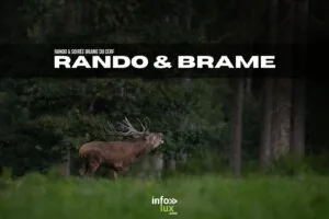 Rando & Brame du Cerf 2026