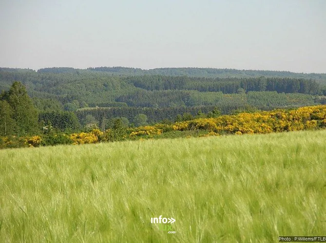 La Clairière à Ortho (Ortho-Hives) : randonnée de 3,26 km