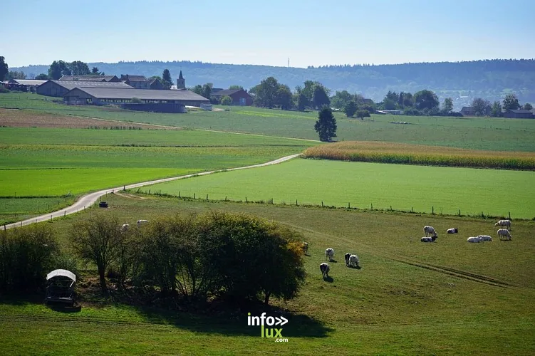 La balade d’Ozo-Izier (Durbuy) : randonnée de 6,9 km en Famenne-Ardenne