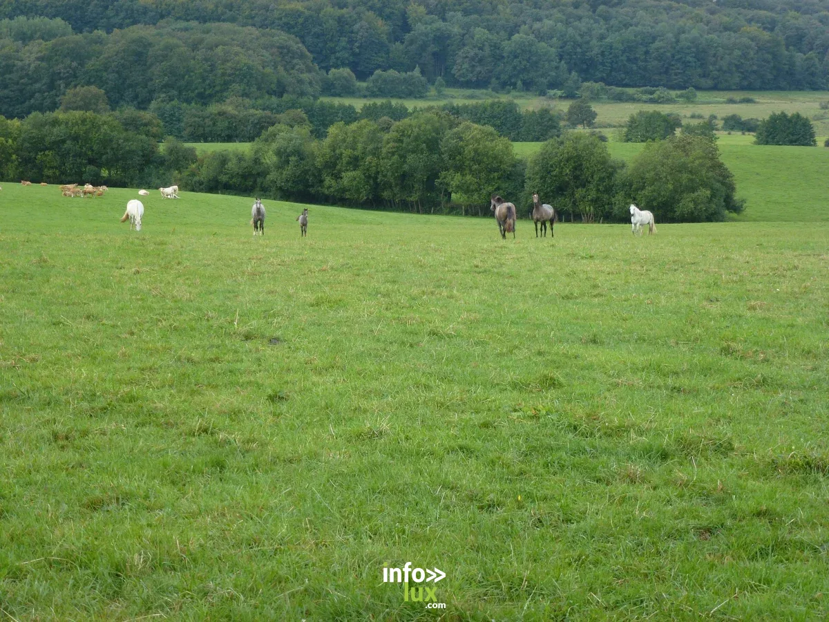 Sentier d'interprétation : Asfeld Grand Siècle à Asfeld