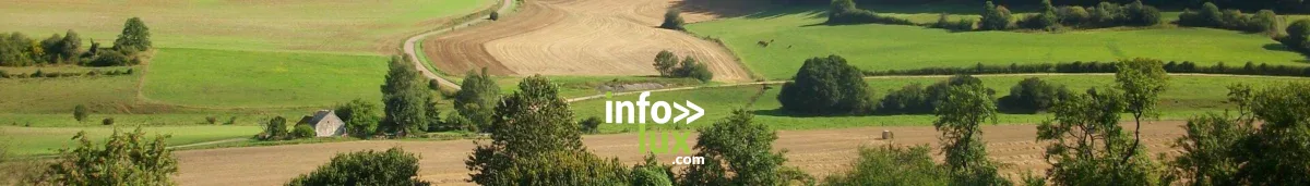 Circuit de découverte du vignoble à Avize