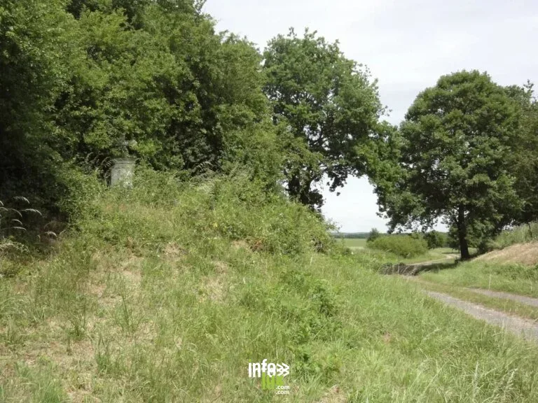 Parcours pédagogique de l’Apon à Saint-Avold : randonnée