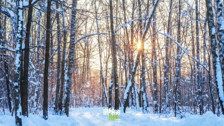 Rendez-vous nature: La forêt grelottante 2026, Rochefort
