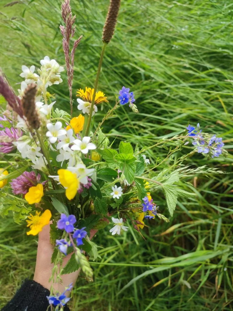 Cycle d'ateliers: découvrir les plantes sauvages et les arbr à Saint-Léger (Fête Nationale du 21 juillet)