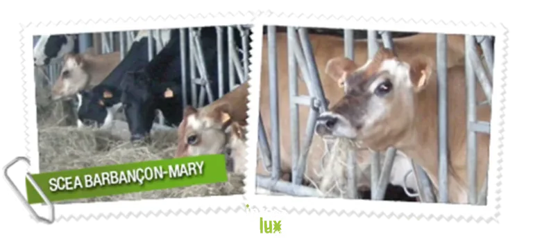 SCEA Barbançon-Mary