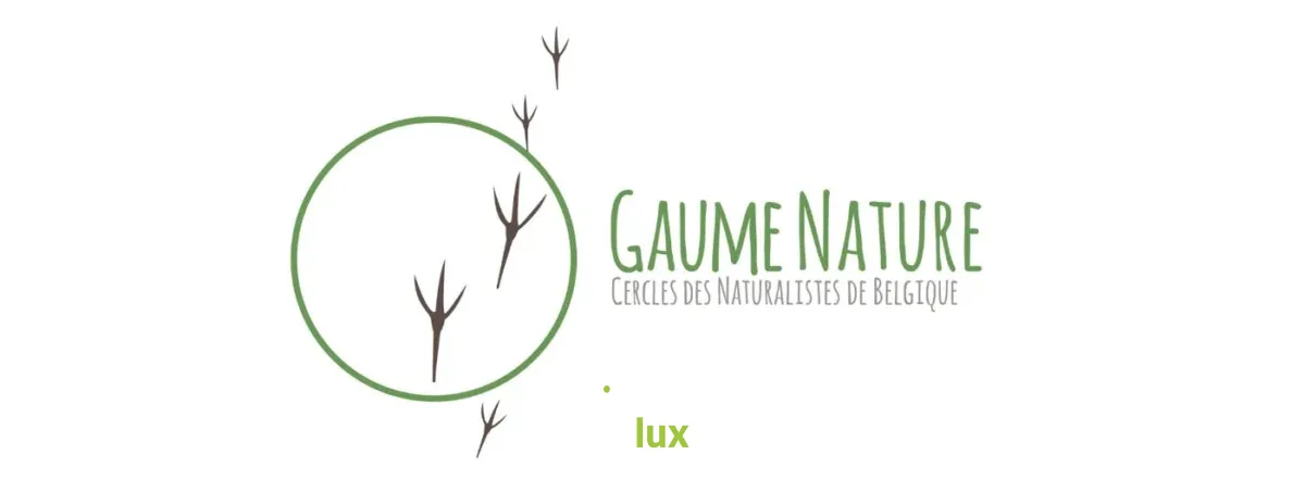 Affiche officielle Sorties brame du cerf 2026