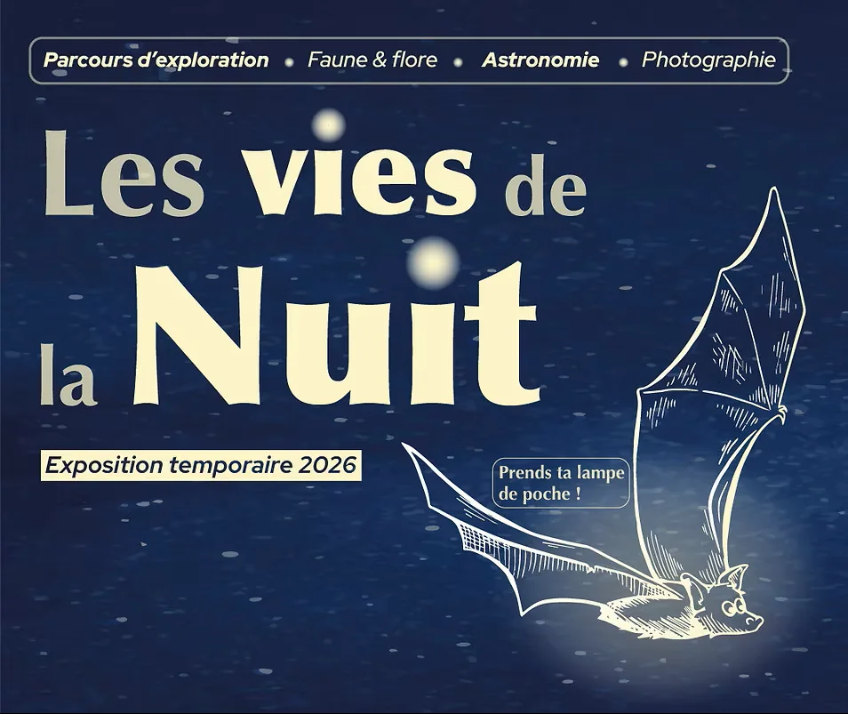 Exposition - Les Vies de la Nuit à Spa (Fête Nationale du 21 juillet)