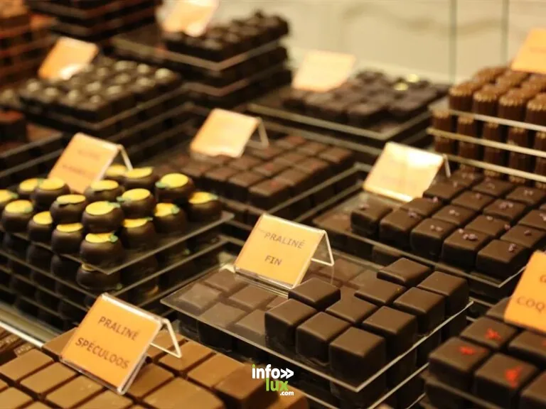 Terra Chocolata
