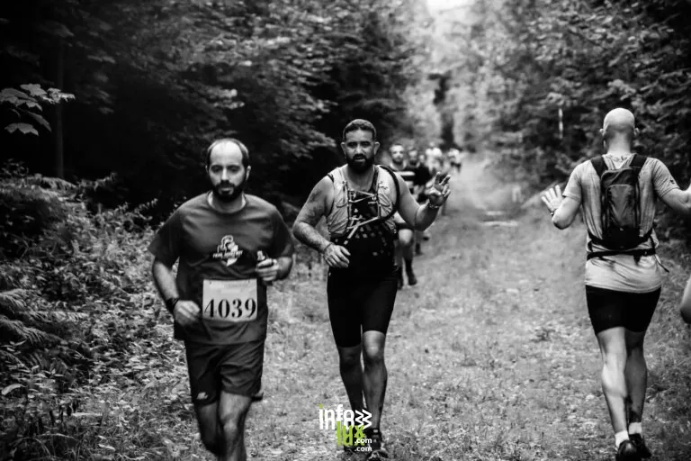 Gesves > Sport > The Art’Trail – un trail artistique sur les Sentiers d’Art 2026