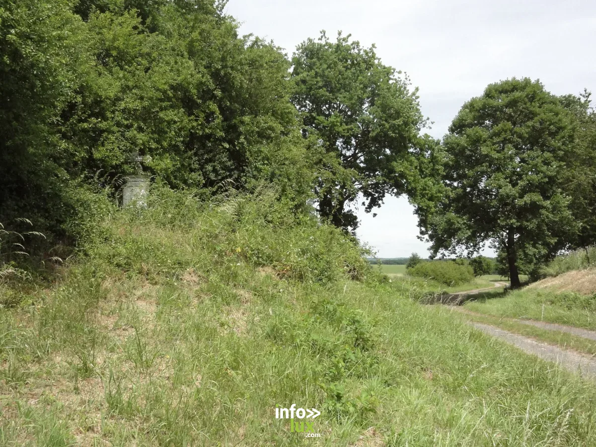 Circuit des roches à Abreschviller