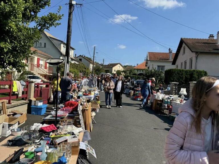 Vide-grenier à Naives-Rosières