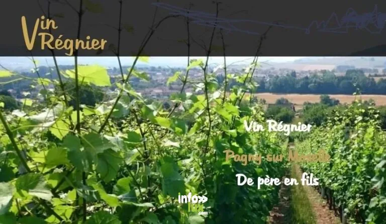 Vins Régnier à Pagny-sur-Moselle : cave / dégustation