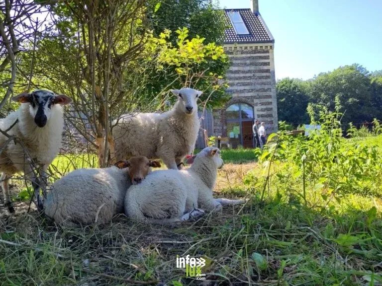 Visé > Balade > Visite du Centre Nature “Villa Castrum” à la Ferme de Caster 2026