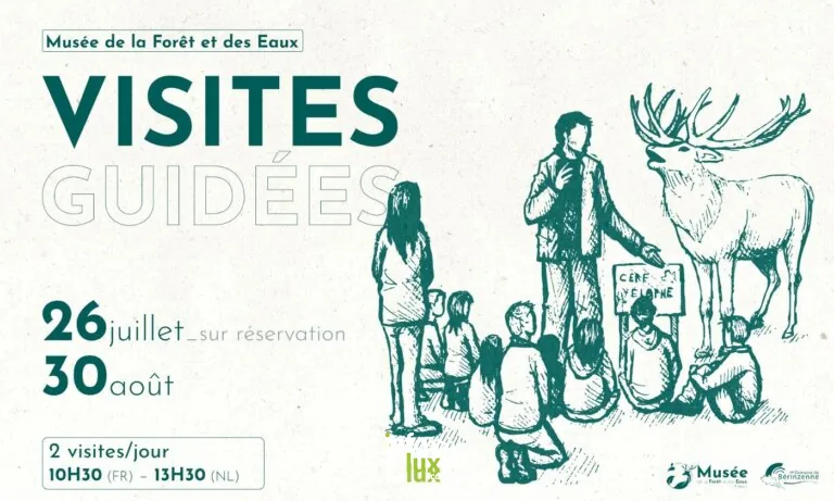 Visite guidée au Musée de la Forêt 2026