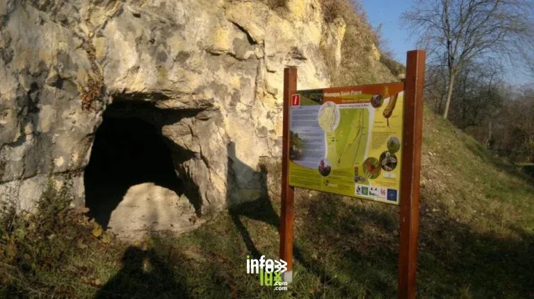 Visé > Patrimoine > Visite guidée dans la réserve naturelle de la Montagne Saint-Pierre 2026
