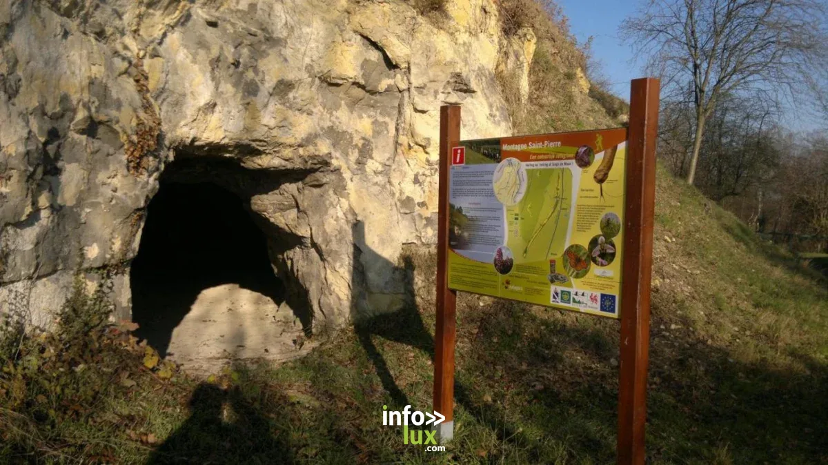 Affiche officielle Visite guidée dans la réserve naturelle de la Montagne Saint-Pierre 2026