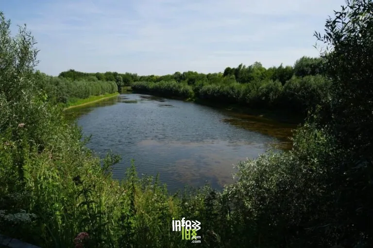 Genappe > Patrimoine > Visite guidée de la réserve naturelle du Tadorne 2026