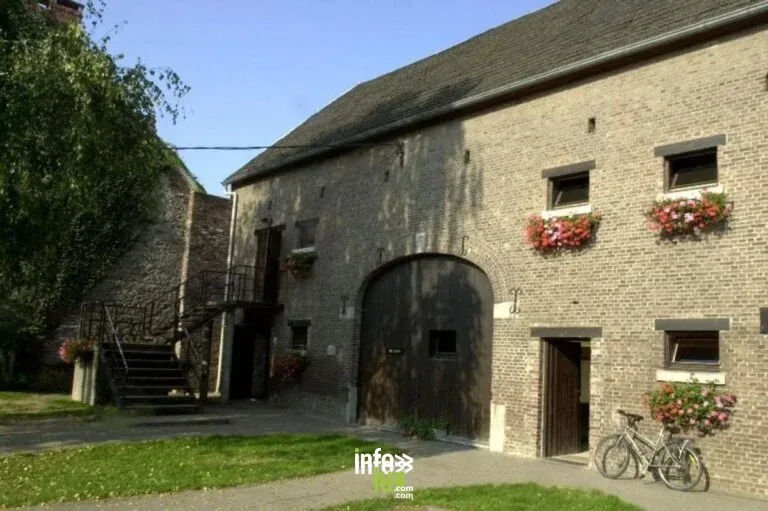 Visite libre du musée Gallo-Romain 2026